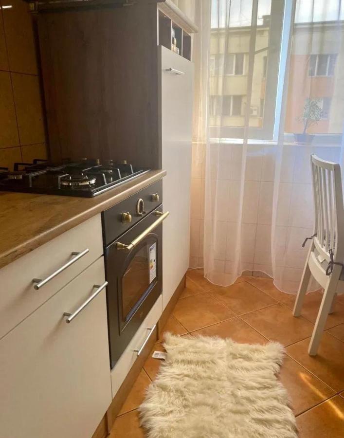 Modern Oasis With A Cozy Fireplace Your Stylish Apartment Minutes From Downtown Букурещ Екстериор снимка